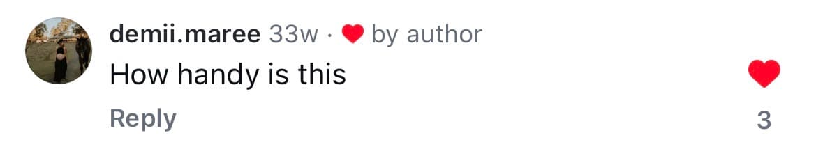 Instagram comment from @demii.maree — How handy is this