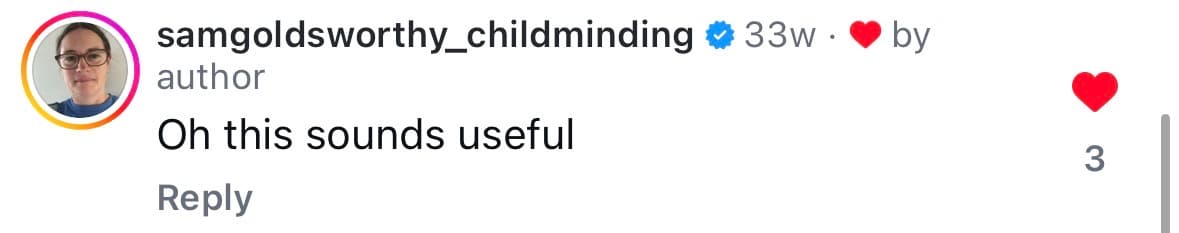 Instagram comment from @samgoldsworthy_childminding — Oh this sounds useful